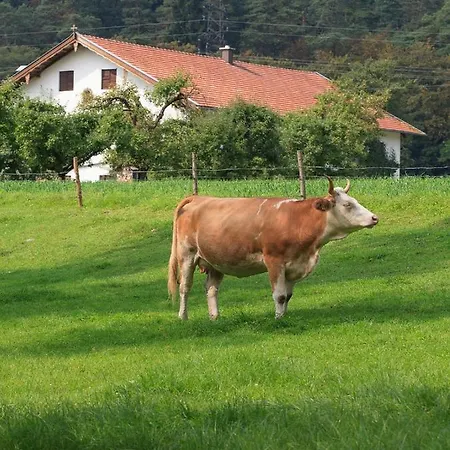 Holzhauser Hof