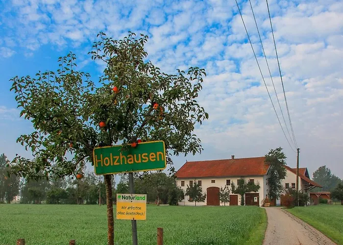 Апартаменты Holzhauser Hof *