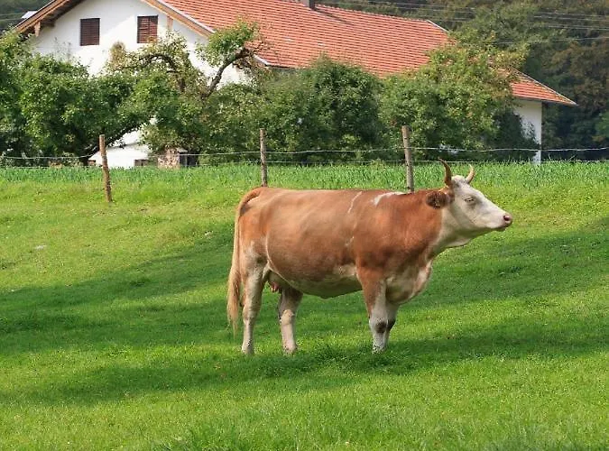 Holzhauser Hof