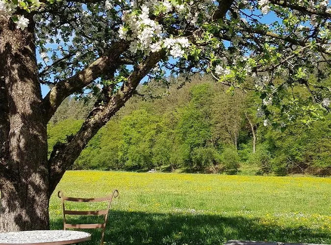 Apartamento Holzhauser Hof